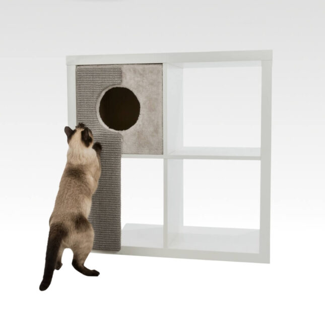 Katten-verstophol-Pluche-Kallax-4 Katten-verstophol-Pluche-Kallax-4