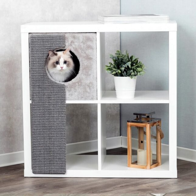 Katten-verstophol-Pluche-Kallax-5 Katten-verstophol-Pluche-Kallax-5