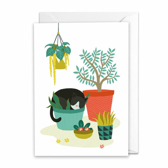 Kattenkaart-Sleeping-in-a-Pot-2-@catsandthings.nl_ Kattenkaart-Sleeping-in-a-Pot-2-@catsandthings.nl_