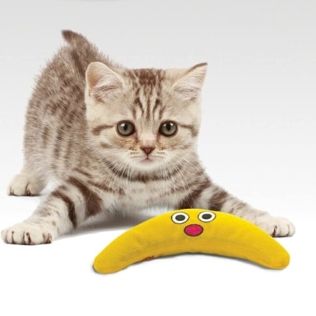 Kattenkruid-speeltje-voor-je-kat-Green-Magic-Boom-Buddy-in-actie-bij-catsandthings.nl_ Kattenkruid-speeltje-voor-je-kat-Green-Magic-Boom-Buddy-in-actie-bij-catsandthings.nl_