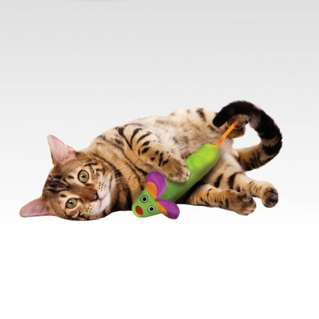 Kattenkruid-speeltje-voor-je-kat-Green-Magic-Mighty-Mouse-in-actie-bij-catsandthings.nl_ Kattenkruid-speeltje-voor-je-kat-Green-Magic-Mighty-Mouse-in-actie-bij-catsandthings.nl_
