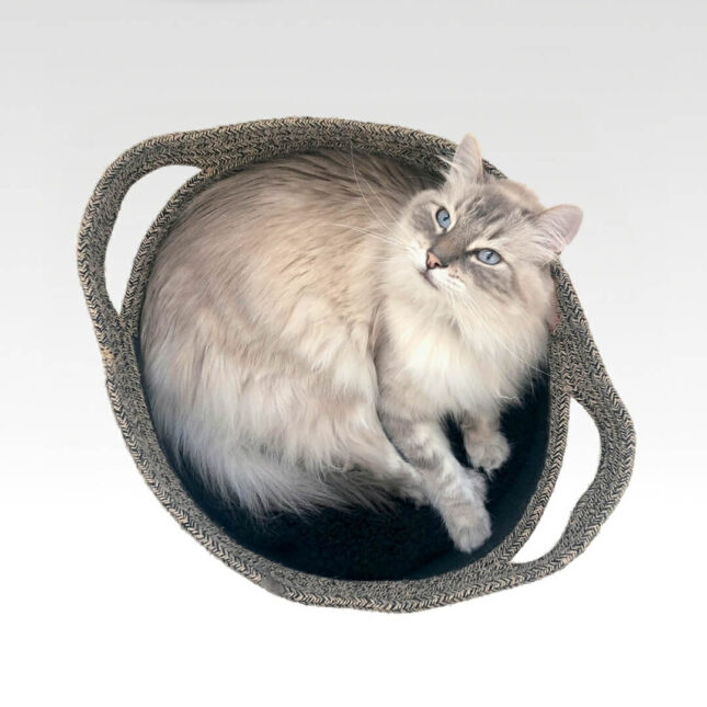 Kattenmand-Tod-Black-2-@catsandthings.nl_ Kattenmand-Tod-Black-2-@catsandthings.nl_