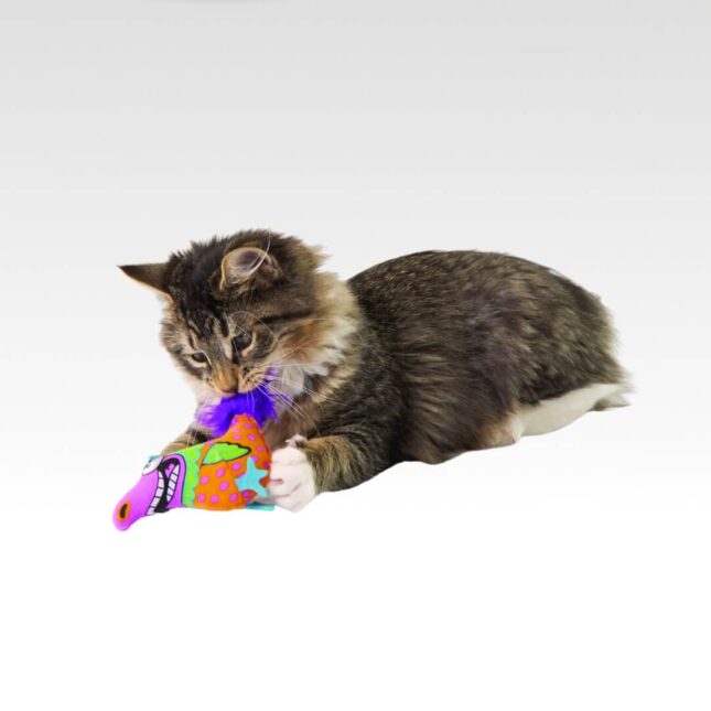 Kattenspeeltje-voor-je-kat-MadCap-Big-Mouth-Bird-in-actie-bij-catsandthings.nl_ Kattenspeeltje-voor-je-kat-MadCap-Big-Mouth-Bird-in-actie-bij-catsandthings.nl_