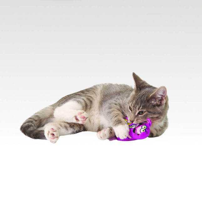 Kattenspeeltje-voor-je-kat-Madcap-Stand-Up-Mouse-in-actie-bij-catsandthings.nl_ Kattenspeeltje-voor-je-kat-Madcap-Stand-Up-Mouse-in-actie-bij-catsandthings.nl_