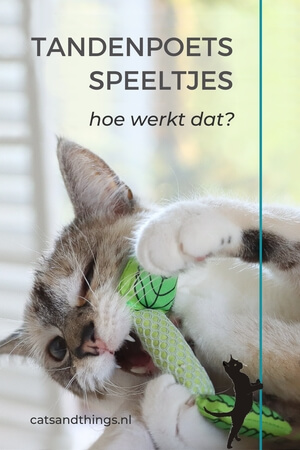 Hoe werken tandenpoets speeltjes voor je kat