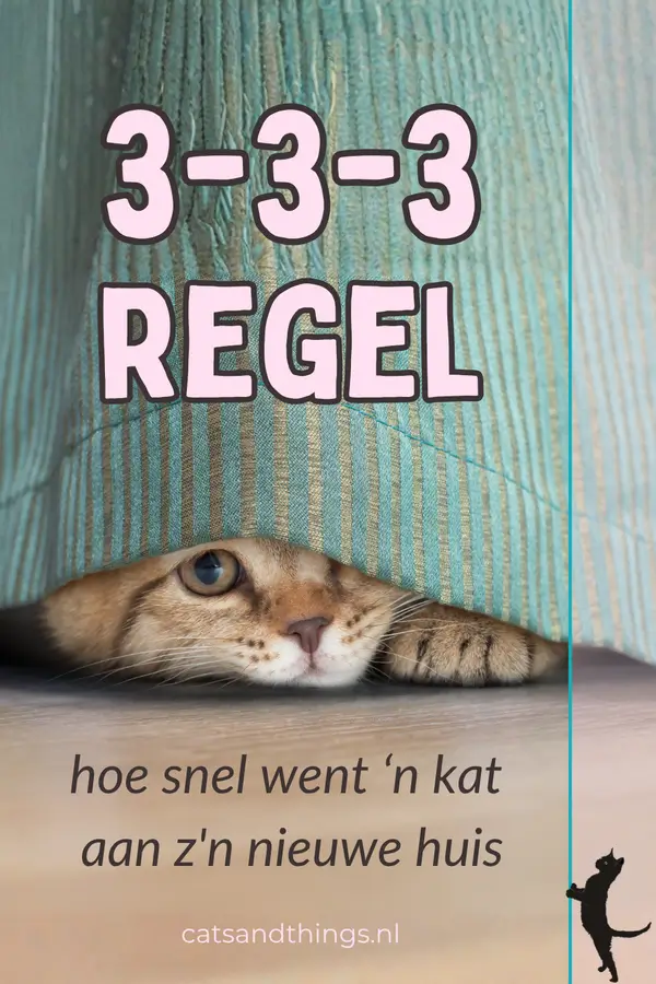 kattenweetjes de 3 3 3 regel voor katten