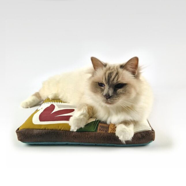 Ligkussen-Flat-Cosy-Geo-met-Liam-2 Ligkussen-Flat-Cosy-Geo-met-Liam-2