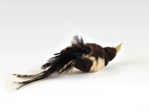 hengelprooi in de vorm van een ekster voor je kat