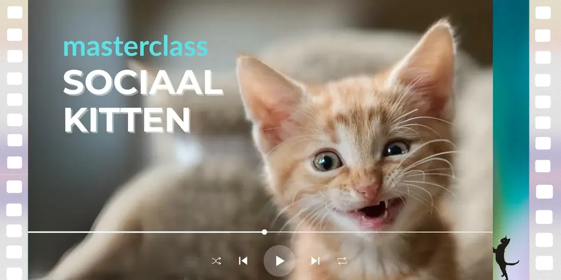 Masterclass Sociaal Kitten laat je de ontwikkeling van een kitten zien