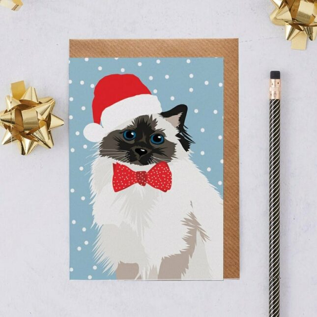 Meg-with-Christmas-Hat-Cat-Card-2 Meg-with-Christmas-Hat-Cat-Card-2