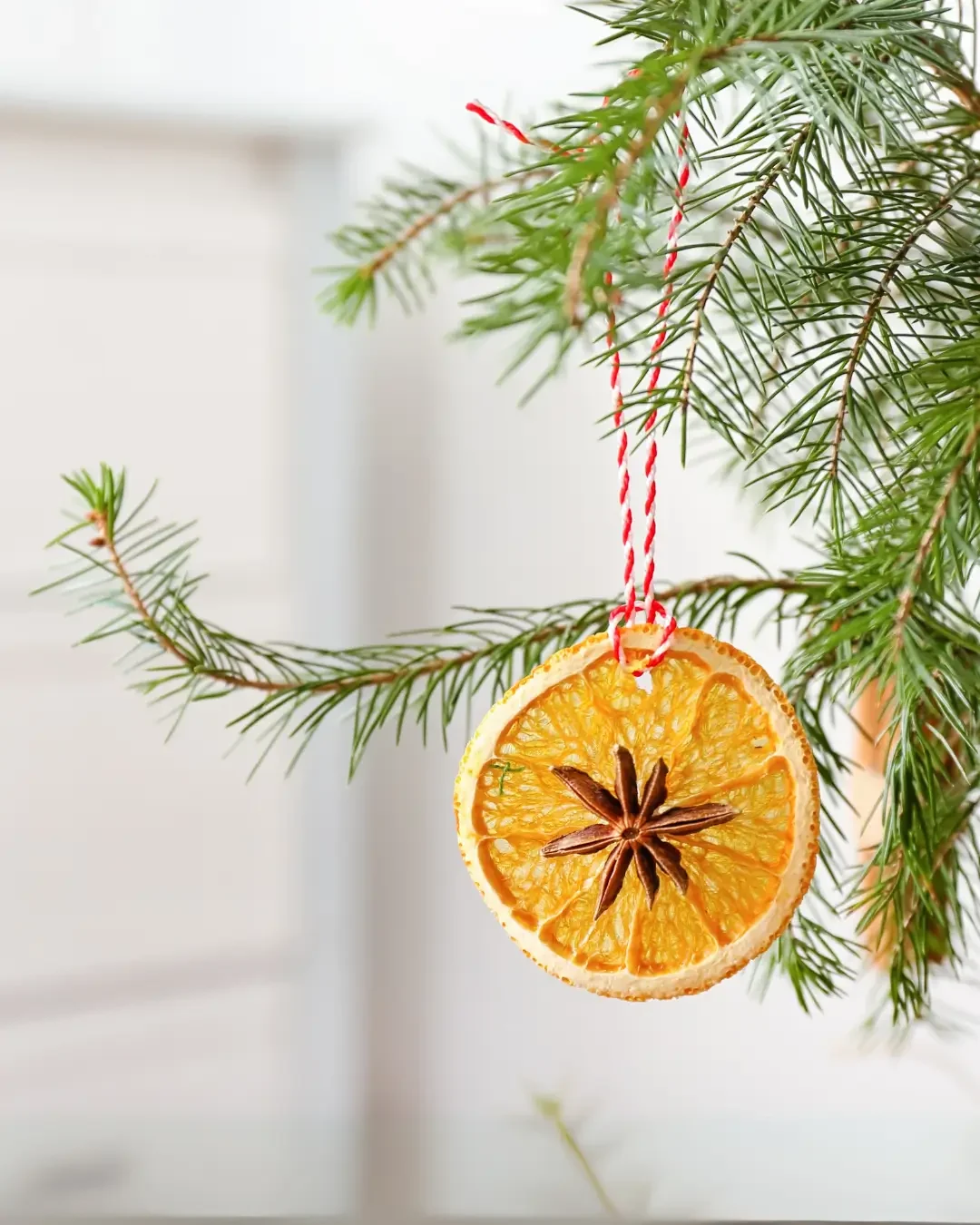 Tips om je kat uit de kerstboom te houden