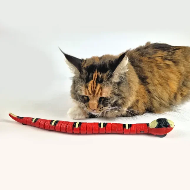 Moving Snake op catsandthings.nl - Tara Moving Snake op catsandthings.nl - Tara