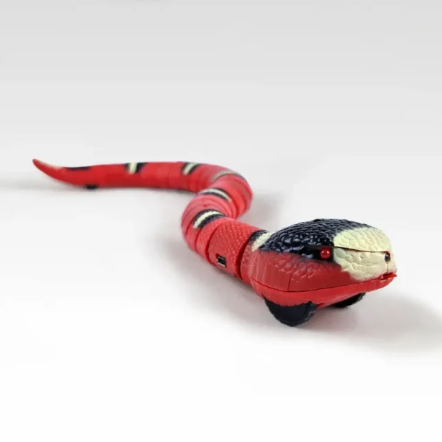 Moving Snake op catsandthings.nl - towards Moving Snake op catsandthings.nl - towards