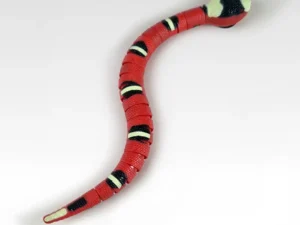Moving Snake een kronkelen automatisch kattenspeeltje in de vorm van een slang