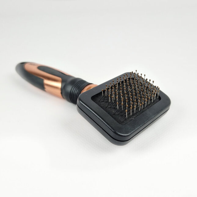 Noir-Kleine-Slicker-Borstel-2 Noir-Kleine-Slicker-Borstel-2