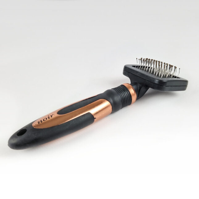 Noir-Kleine-Slicker-Borstel-3 Noir-Kleine-Slicker-Borstel-3