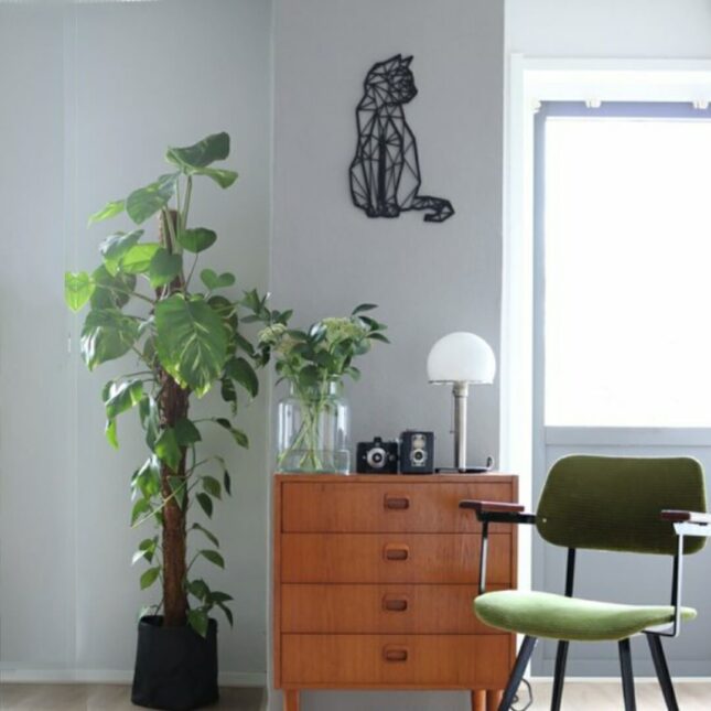 ORC20-WOO0-geografische-kat-zittend-2-@CatsAndThingsNL ORC20-WOO0-geografische-kat-zittend-2-@CatsAndThingsNL