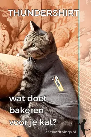 Wat doet bakeren voor je kat