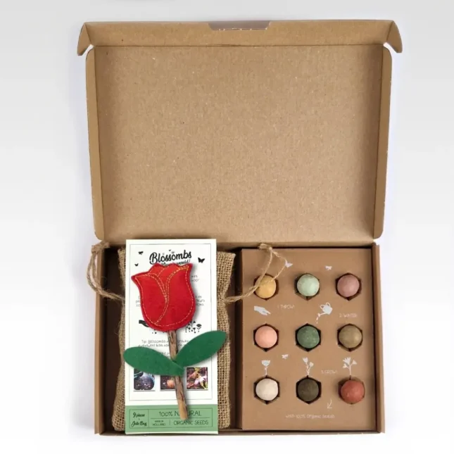 Paas cadeaubox 2 Paas cadeaubox 2