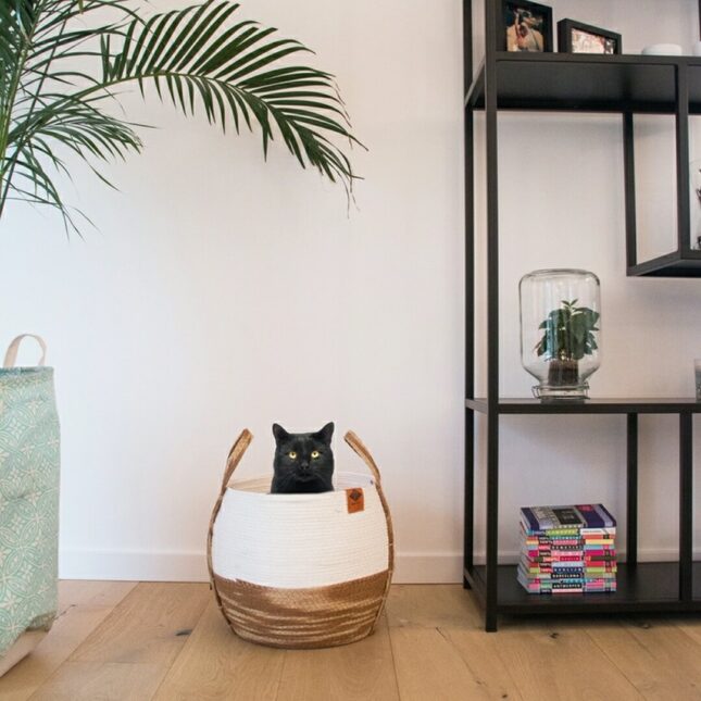 Ray-Paper-Rope-kattenmand-L-3-@catsandthings.nl_ Ray-Paper-Rope-kattenmand-L-3-@catsandthings.nl_