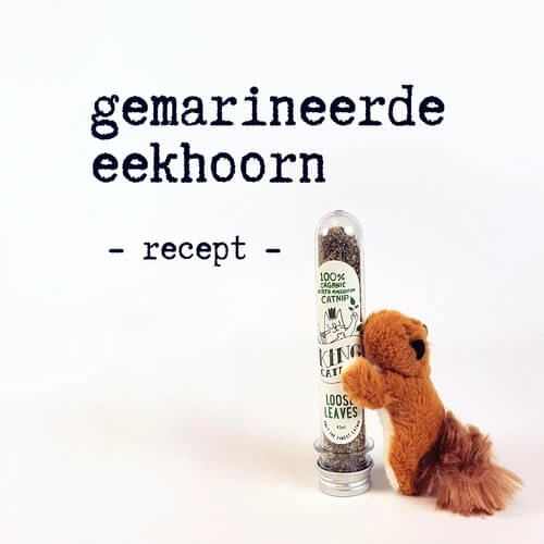 Recept voor een gemarineerde eekhoorn voor je kat