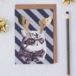 Royal-with-Reindeer-Antlers-Cat-Card-2