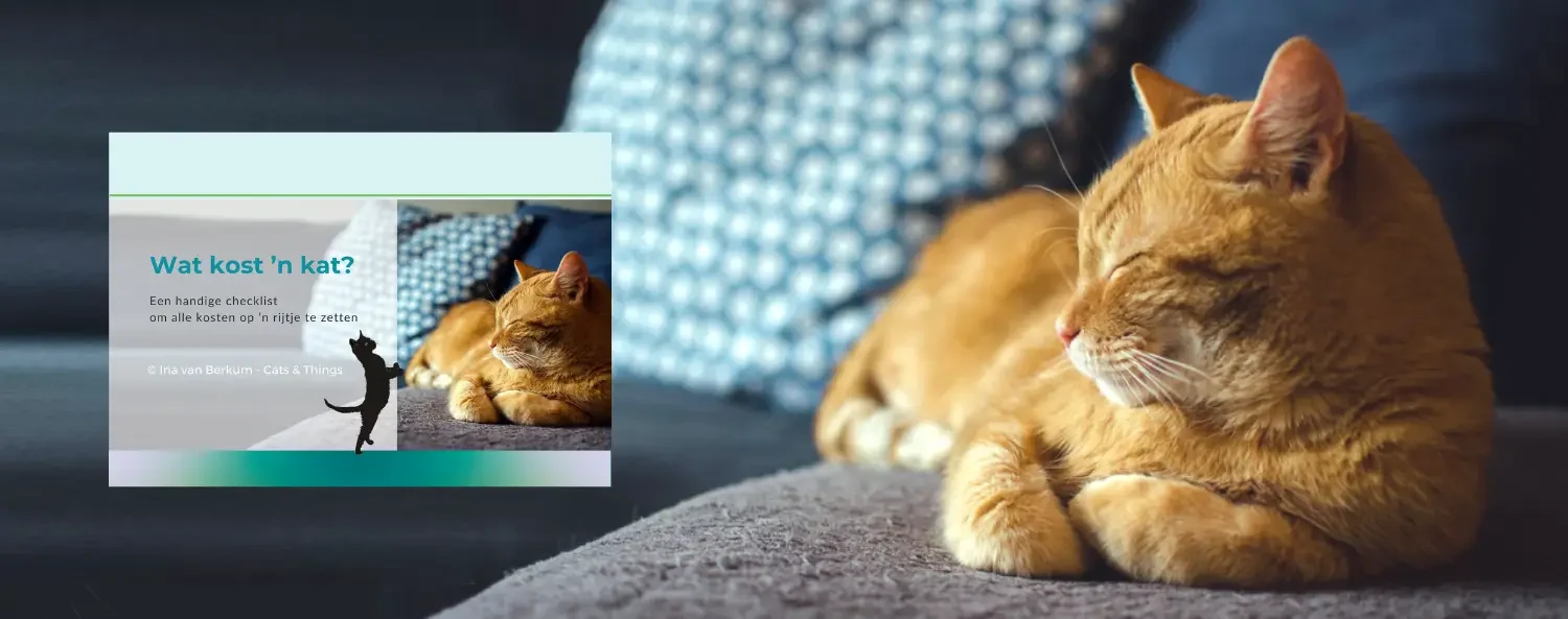 Wat kost een kat maak je eigen kostenlijstje