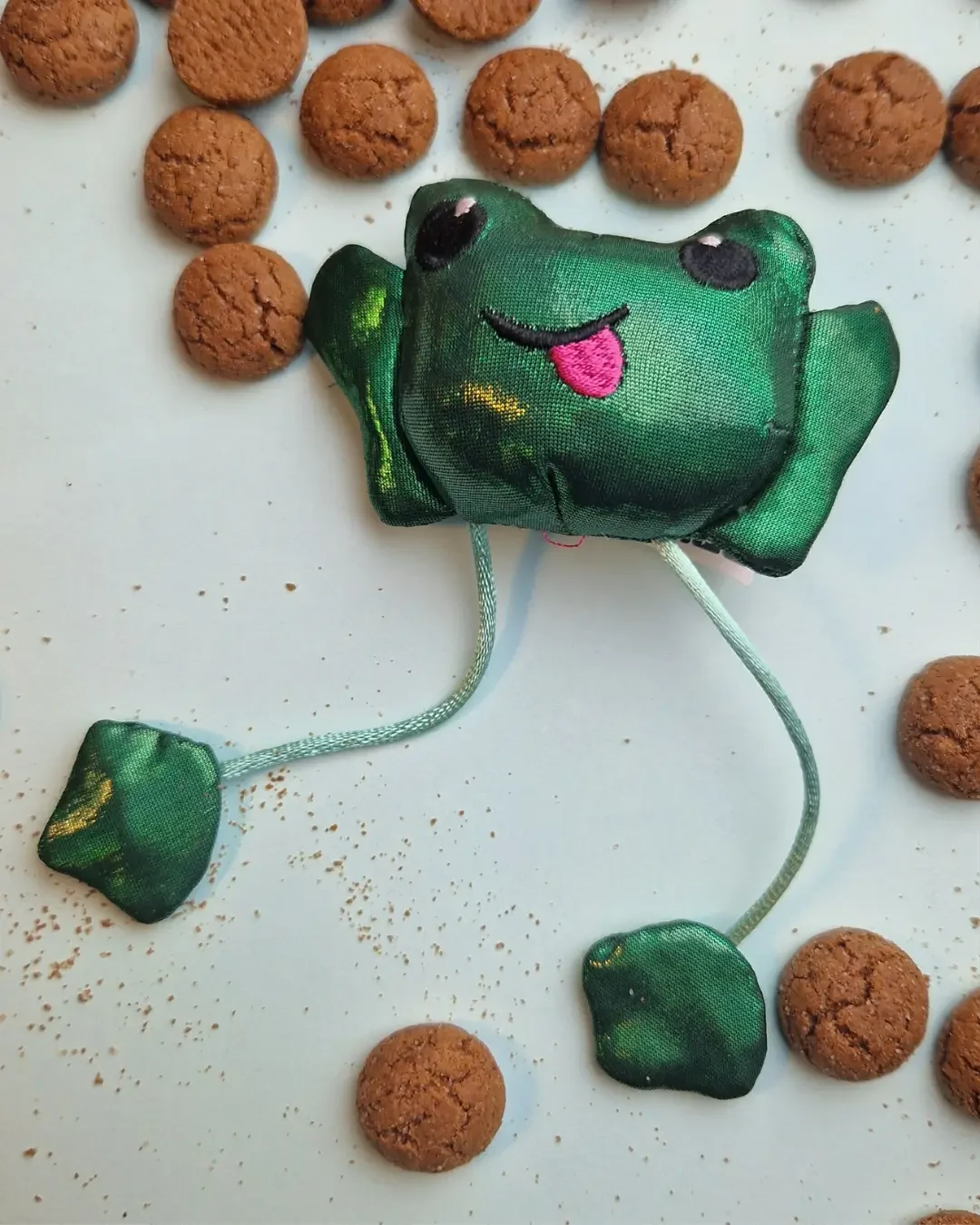 Schoencadeautje voor je kat