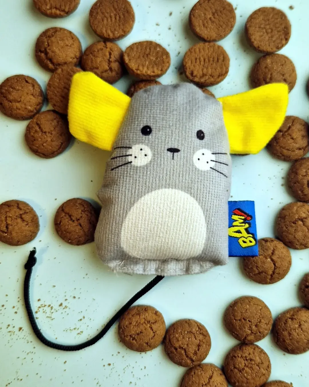 Sinterklaas cadeautje