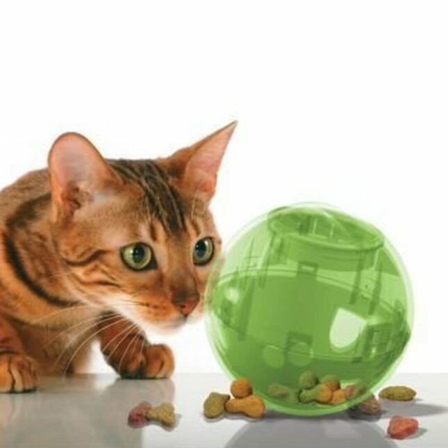SlimCat™-Voerbal-voor-katten-groen-actie SlimCat™-Voerbal-voor-katten-groen-actie