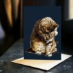 Small-Fry-Tabby-Cat-bij-catsandthings.4