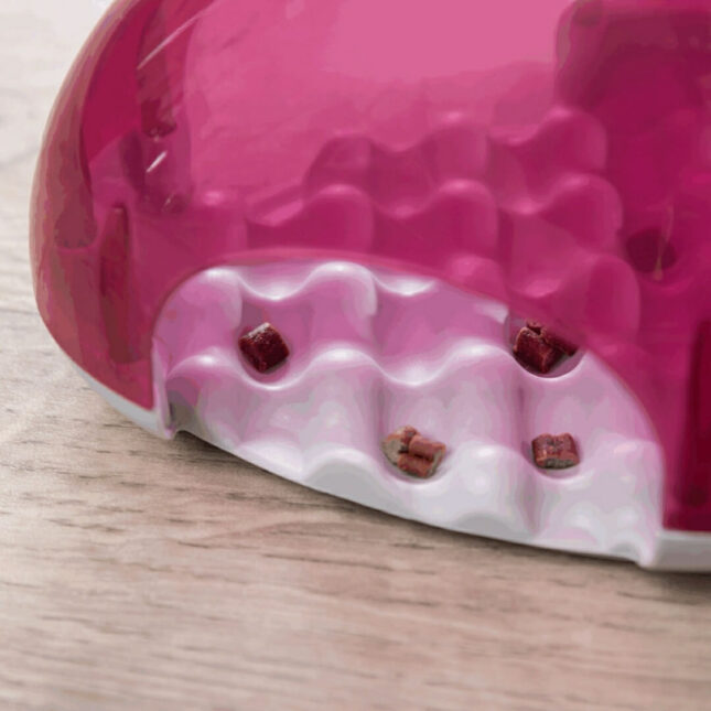 Snack-Box-Spel-voerpuzzel-2@catsandthings.nl_ Snack-Box-Spel-voerpuzzel-2@catsandthings.nl_