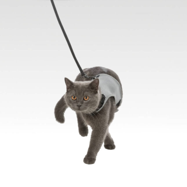 Soft-harnas-1@catsandthings.nl_ Soft-harnas-1@catsandthings.nl_