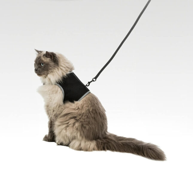 Soft-harnas-XXL-1@catsandthings.nl_ Soft-harnas-XXL-1@catsandthings.nl_