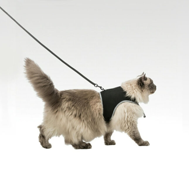 Soft-harnas-XXL-3@catsandthings.nl_ Soft-harnas-XXL-3@catsandthings.nl_