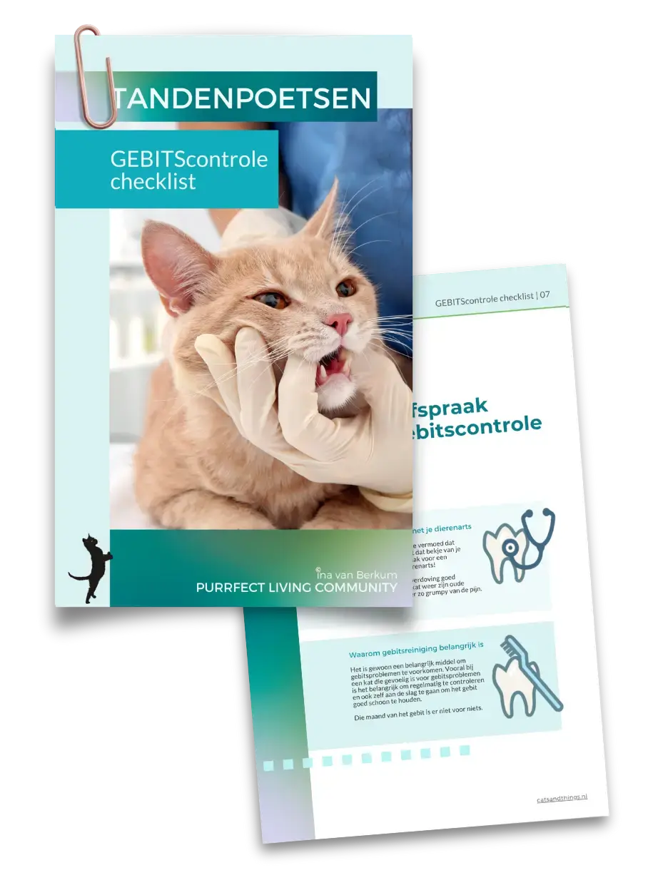 Handige TANDENPOETSEN Gebitscontrole checklist 