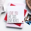 Tekstkaart-voor-een-kattenliefhebber-Like-Cats-love-Boxes-1