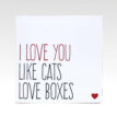 Tekstkaart-voor-een-kattenliefhebber-Like-Cats-love-Boxes-2