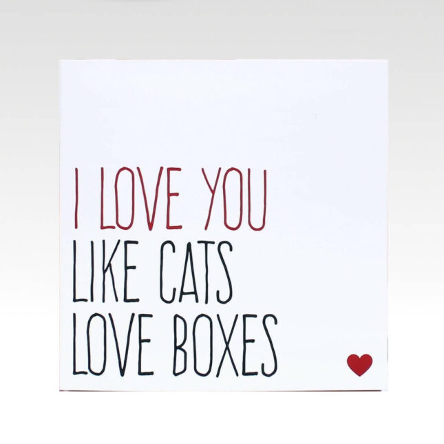 Tekstkaart-voor-een-kattenliefhebber-Like-Cats-love-Boxes-2