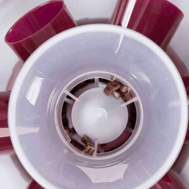 Tunnel-Feeder-Spel-voerpuzzel-3@catsandthings.nl_ Tunnel-Feeder-Spel-voerpuzzel-3@catsandthings.nl_