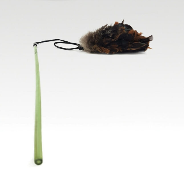 USA-Cat-Pouncer-Toy-2@catsandthings.nl_ USA-Cat-Pouncer-Toy-2@catsandthings.nl_