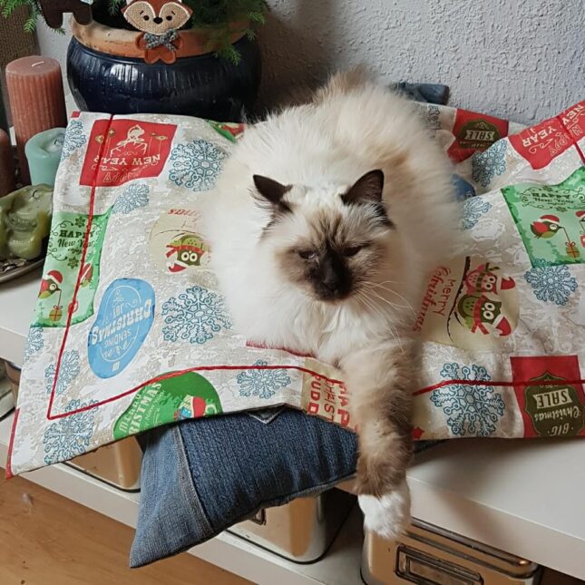 Vintage-Xmas-Plaidje-3 Vintage-Xmas-Plaidje-3