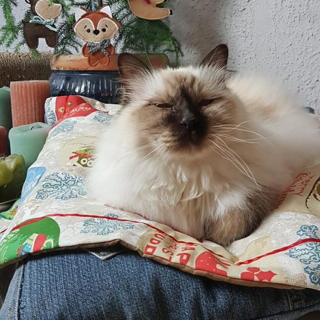 Vintage-Xmas-Plaidje-4 Vintage-Xmas-Plaidje-4