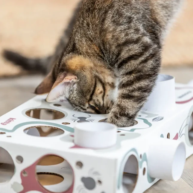 Voerpuzzel Paws and Treats Box met kat 2 Voerpuzzel Paws and Treats Box met kat 2