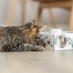 Voerpuzzel Paws and Treats Box met kat 4