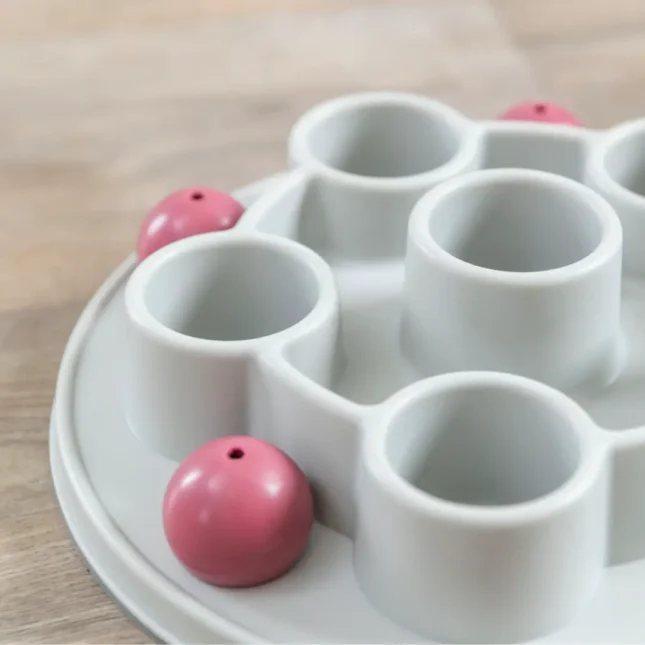 Voerpuzzel Pentagon 4 Voerpuzzel Pentagon 4