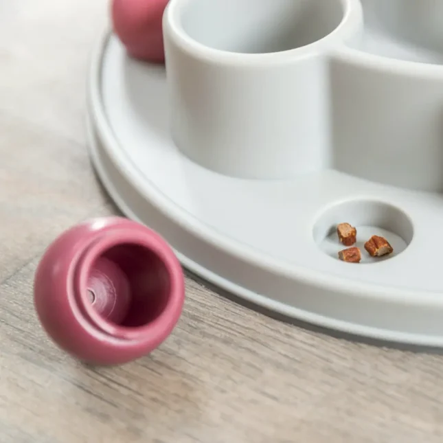 Voerpuzzel Pentagon 5 Voerpuzzel Pentagon 5