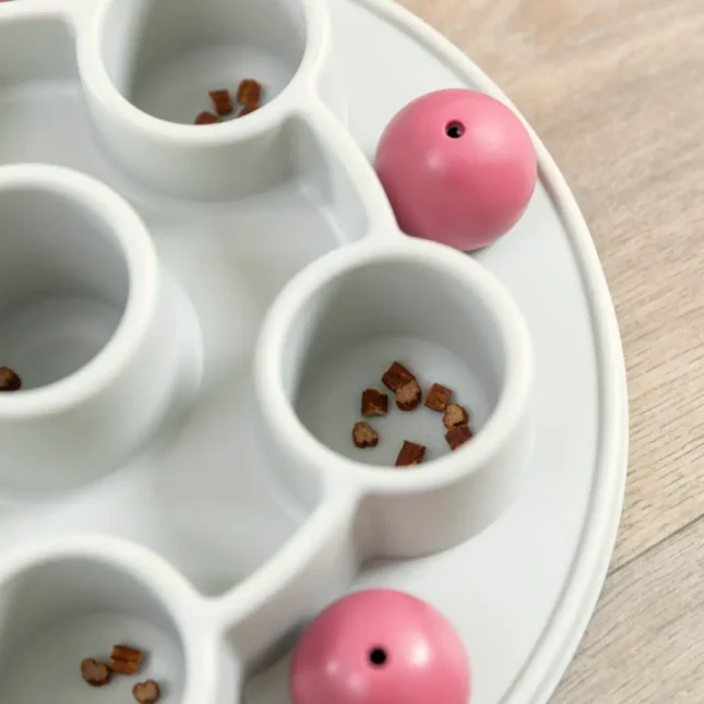 Voerpuzzel Pentagon 6 Voerpuzzel Pentagon 6