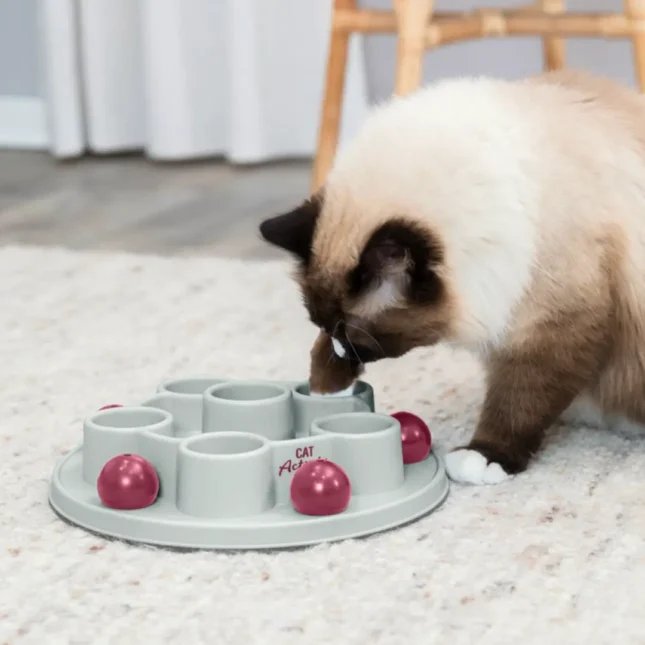 Voerpuzzel Pentagon met kat 1 Voerpuzzel Pentagon met kat 1