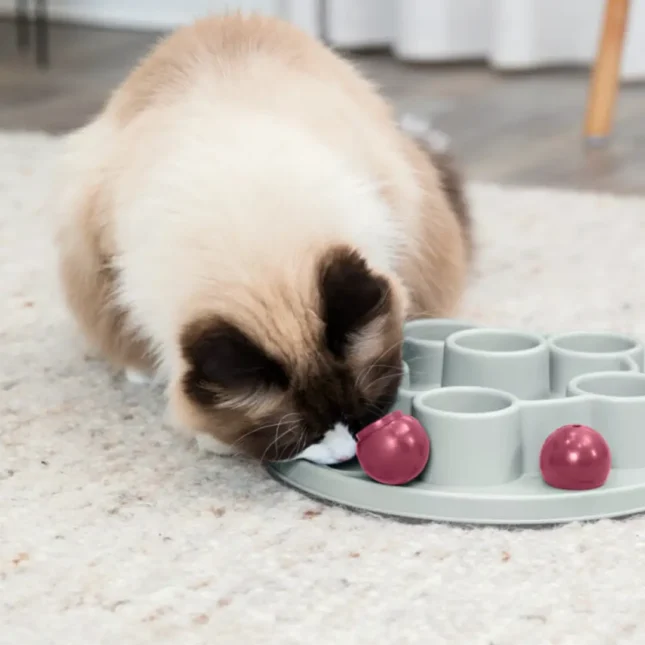 Voerpuzzel Pentagon met kat 2 Voerpuzzel Pentagon met kat 2